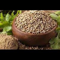 manfaat-ketumbar-bagi-kecantikan-dan-kesehatan