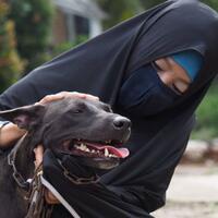 perempuan-bercadar-ini-pelihara-belasan-anjing-harusnya-kita-support