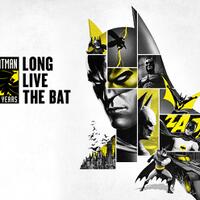 long-live-the-bat-batman-family-team