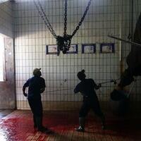 gerindra-dan-demokrat-minta-rph-babi-milik-dki-ditutup