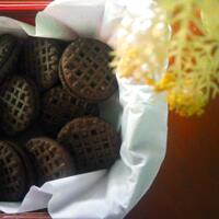 fresh-chapter-of-dear-diary