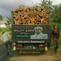 lukisan-di-trukmu-adalah-idolamu-kagumilah-7-artis-idola-supir-truk-ini