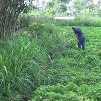 tanah-terbelah-300-meter-di-pasuruan-dilaporkan-ke-pemprov-jatim