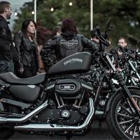 fresh-chapter-of-dear-diary