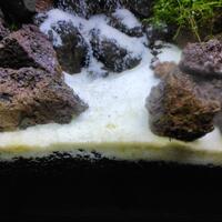 aquascape-for-everyone-learning-and-sharing---part-3