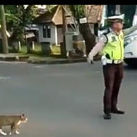 video-polisi-baik-yang-tidak-viral-benarkah-kebaikan-kalah-dengan-konten-prank