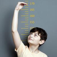 makanan-peninggi-badan