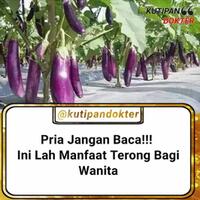 kegunaan-terong-untuk-para-wanita-pria-dilarang-kepo