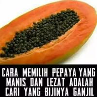 kepala-ppatk-soal-cuci-uang-kasino-dirjen-otda-sok-tahu