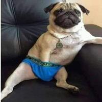 habib-husein-alatas-ditangkap-polisi-jadi-tersangka-cabuli-pasien