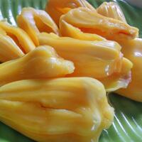 fresh-chapter-of-dear-diary