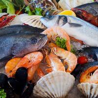 mengenal-alergi-seafood-beserta-gejalanya