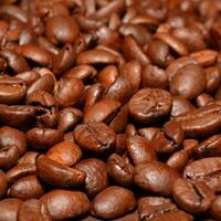 negara-tujuan-utama-ekspor-kopi-indonesia