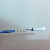 ini-cewek-maksudnya-gimana