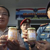 soal-ekspor-baby-lobster-akademisi-ipb-jangan-berprasangka-buruk-dulu