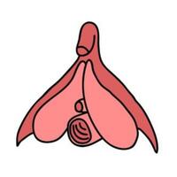 7-cara-mencapai-multiorgasme