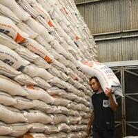 beras--rusak--bulog-laku-rp238-miliar