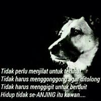 mumtaz-rais-ngebet-ingin-dipinang-pdi-p-koeswanto-kecil-peluangnya