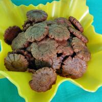 fresh-chapter-of-dear-diary