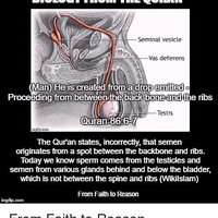 18-keajaiban-tubuh-manusia-yang-membuat-kita-terpana