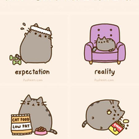 resolusi-di-awal-tahun-adalah-penyemangat-apa-saja-resolusi-agan