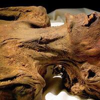 sains-alquran-jasad-firaun-utuh-dan-tak-terjamah-bakteri-prof-ini-dibuat-heran