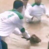 viral-video-fpi-selamatkan-kambing-hanyut-karena-banjir