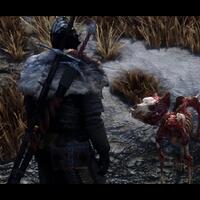 fresh-chapter-of-dear-diary