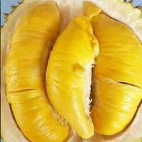 mengulik-seluk-beluk-buah-durian