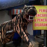 lawan-china-berani-gak-atau-cuma-macan-ompong-yang-mengaum-di-media-saja