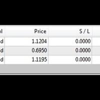 investasi--forexcopy--robot-forex--bisa-langsung-kerumah