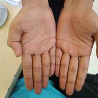 baca-garis-tangan---gratis