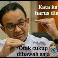 normalisasi-vs-naturalisasi-anak-buah-anies-beda-bahasa-doang