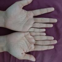 baca-garis-tangan---gratis