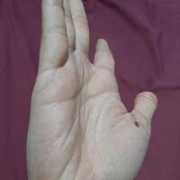 baca-garis-tangan---gratis