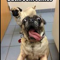 trend-selfie-di-toilet-umum-lihat-beberapa-tingkah-selfitis-aneh-ini-anda-termasuk