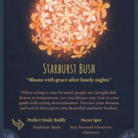 fresh-chapter-of-dear-diary