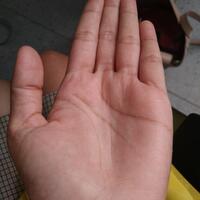 share-tentang-pengetahuan-keilmuan-garis-tangan---palmistry