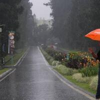 5-tips-jitu-agar-traveling-di-musim-hujan-tetap-seru-dan-berkesan-jangan-tumbang