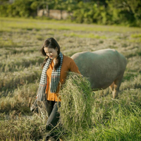 aktifitas-pedesaan-ala-orang-bugis