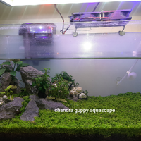 aquascape-for-everyone-learning-and-sharing---part-4