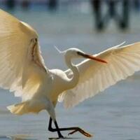 lounge-reg-banyuwangi-edisi-awal-tahun-2020---part-8