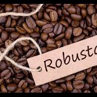 pecinta-kopi-yuks-cari-tau-fakta-kopi-robusta