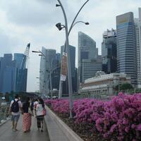 singapura-modernitas-tanpa-batas