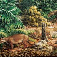 dilanjutkannya-baton-estafet-kehidupan-oleh-para-mamalia---part-10-paleogen