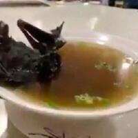 virus-corona-diduga-menyebar-dari-sup-kelelawar-di-wuhan