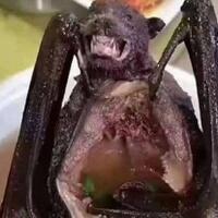 virus-corona-diduga-menyebar-dari-sup-kelelawar-di-wuhan