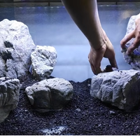 aquascape-for-everyone-learning-and-sharing---part-4