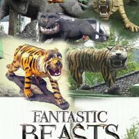 berbanggalah-mustahil-negara-maju-memiliki-apa-yang-indonesia-punya