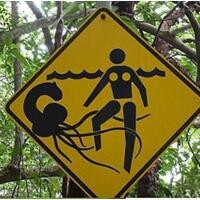 11-rambu-peringatan-paling-aneh-absurd-dan-lucu-yang-bakal-bikin-kamu-tertawa